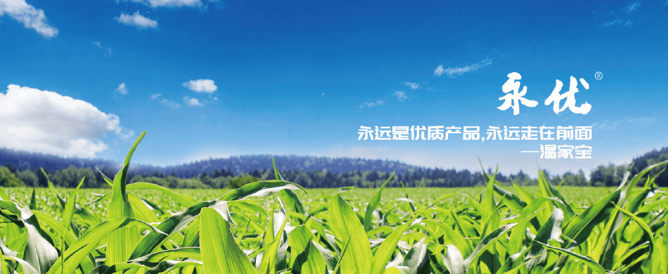 制(zhì)造工(gōng)廠(chǎng)